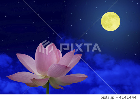 蓮の花と月 4141444