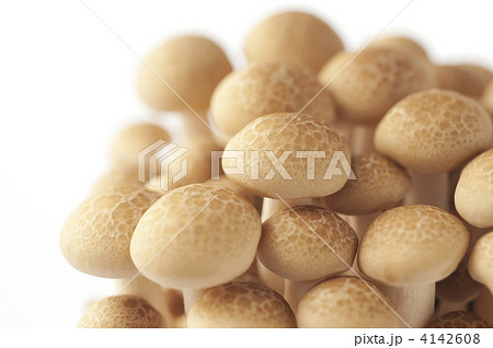 しめじ 4142608
