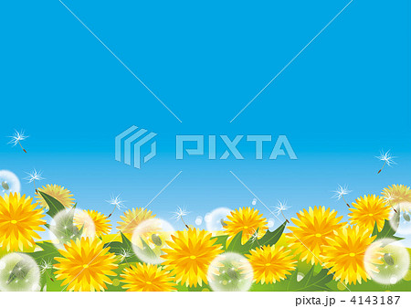 たんぽぽ畑のイラスト素材 [4143187] - PIXTA