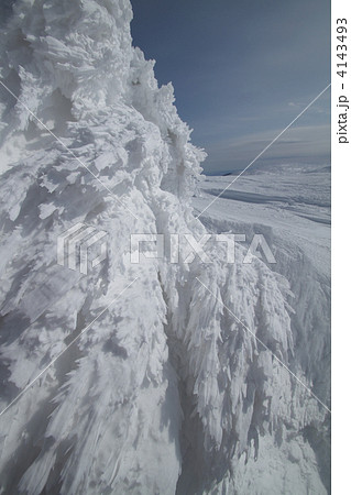 エビの尻尾 4143493