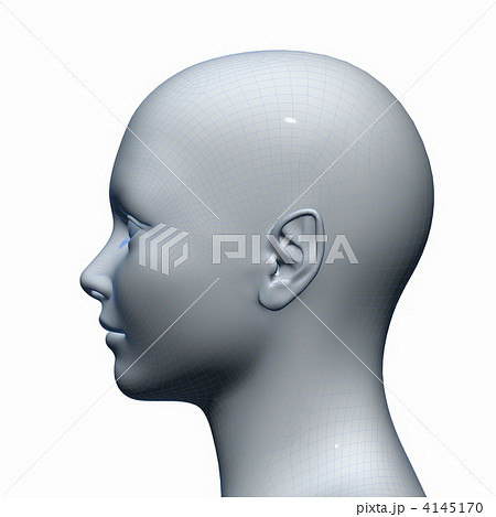 頭部 首像 彫刻のイラスト素材 4145170 Pixta
