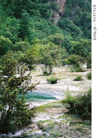 九寨溝 盆景灘 九寨溝 盆景灘 4147428