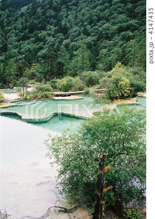 黄龍　迎賓池 4147435