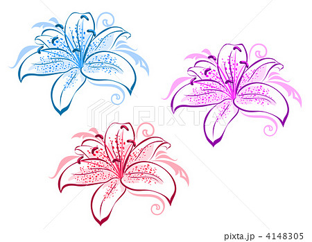 Lily flowers 4148305