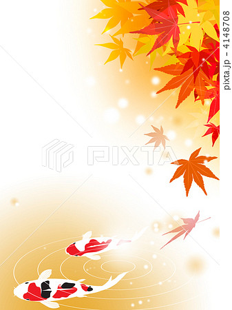 紅葉と鯉 4148708