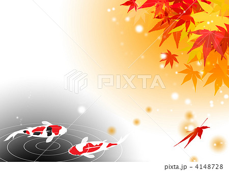 紅葉と鯉のイラスト素材