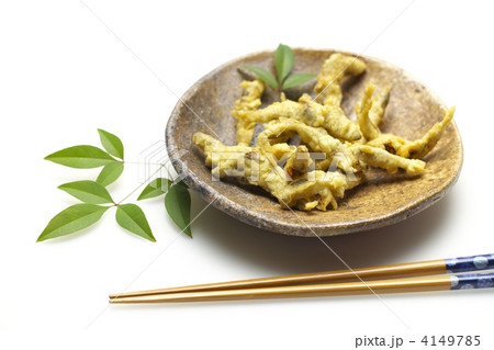 稚鮎の天婦羅 4149785