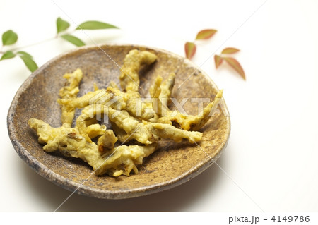 稚鮎の天婦羅 稚鮎の天婦羅 4149786