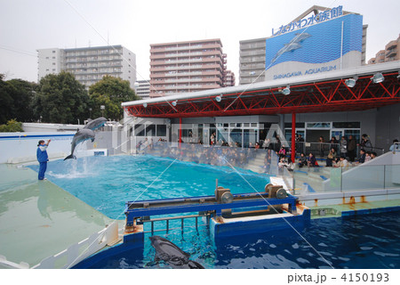 しながわ水族館 4150193