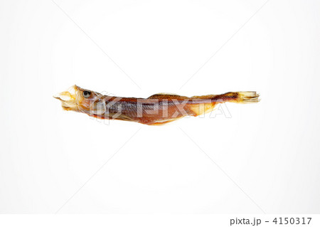 干物 干物 4150317