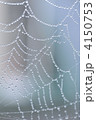 蜘蛛の糸の雫 4150753