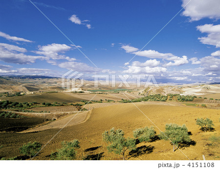 シチリア島の大平原 4151108