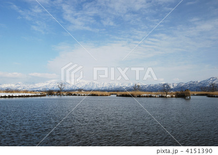 冬の福島潟と雪の二王子岳 4151390