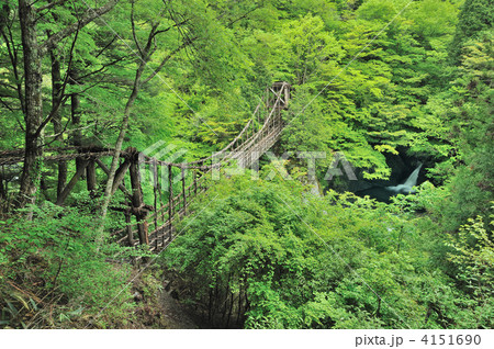 奥祖谷かずら橋と滝 4151690