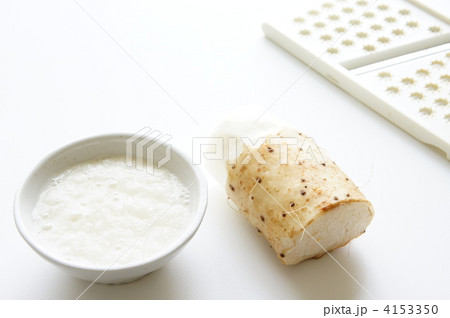 長芋（とろろ） 4153350