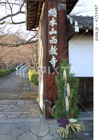 西教寺 4153487