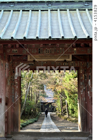 寿福寺 4153829