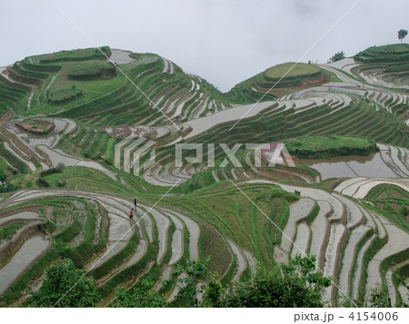 龍勝の棚田 龍勝の棚田 4154006
