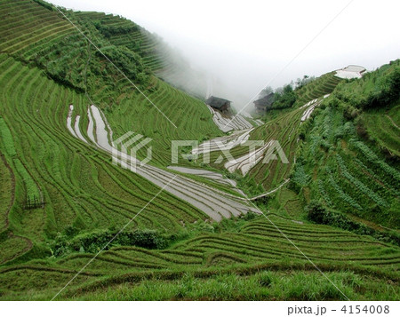 龍勝の棚田 4154008