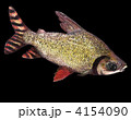 4154090