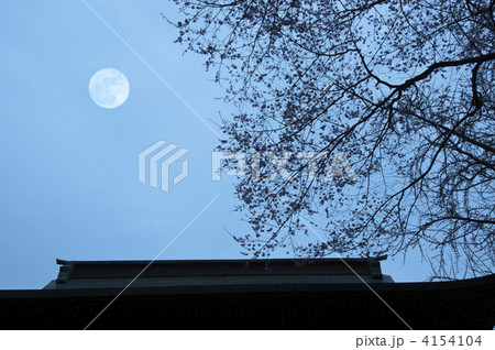 月と桜 月と桜 4154104