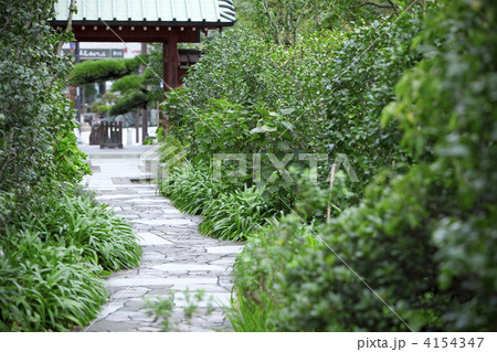 おんめさま 大巧寺の参道 おんめさま 大巧寺の参道 4154347