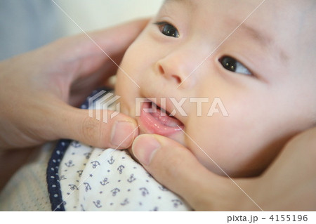 生後6か月の赤ちゃん　歯が生え始めました 4155196