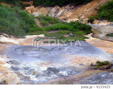 後生掛自然研究路 4155425