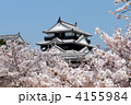 松山城 4155984