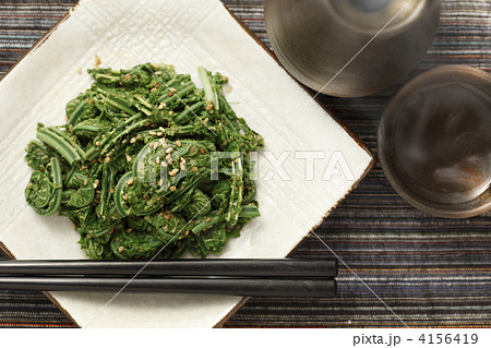 コゴミの胡麻和えと熱燗 コゴミの胡麻和えと熱燗 4156419