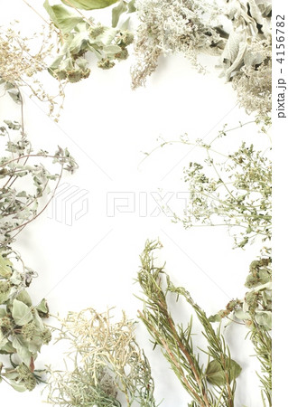 ドライ・ハーブを並べる 4156782