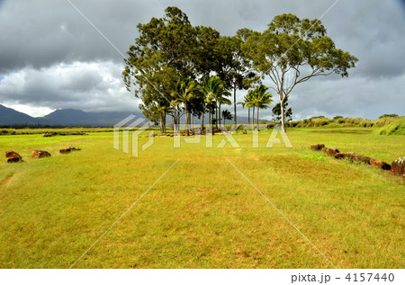 ワヒアワのバースストーン 4157440