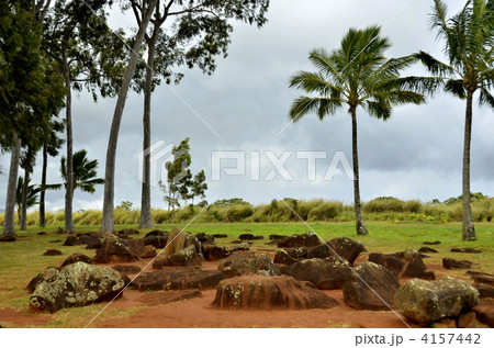 ワヒアワのバースストーン 4157442