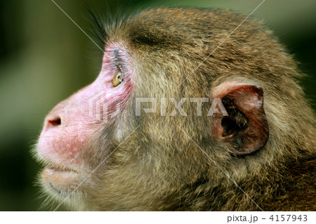 見つめる先には... 4157943