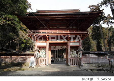 日吉大社　西本宮桜門 4158578