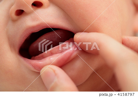 歯が生える前の赤ちゃんの口の写真素材