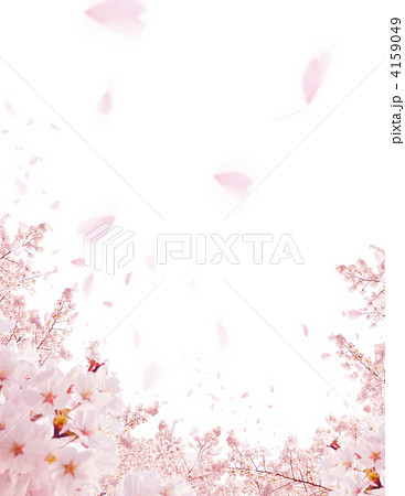 桜のコラージュ写真 4159049