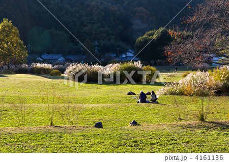 晩秋の飛鳥歴史公園 晩秋の飛鳥歴史公園 4161136