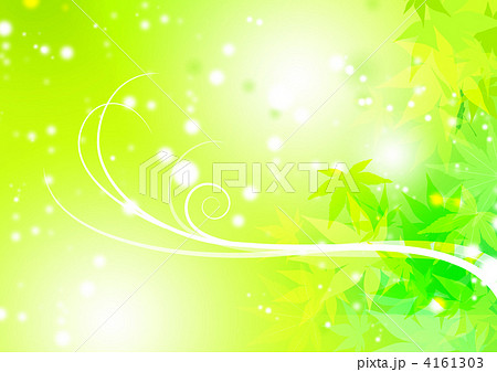 春のもみじ 4161303