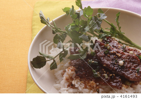 牛肉とご飯 4161493
