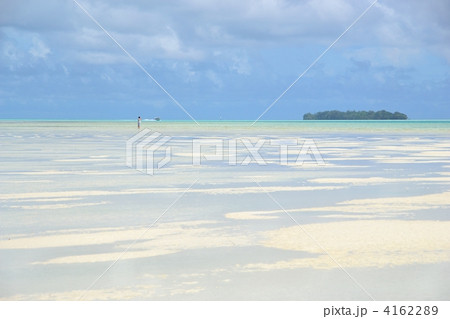 パラオ　カープ島　干潟 4162289