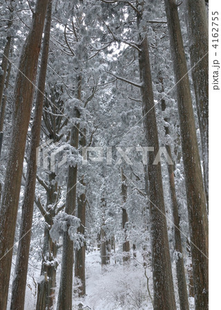 金剛山樹氷 金剛山樹氷 4162755