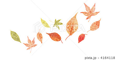 枯れ葉 葉 落ち葉のイラスト素材 4164118 Pixta