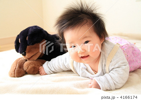 ワンワン邪魔しないで！ 4166174