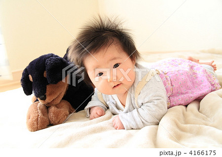 ワンワンと一緒に 4166175