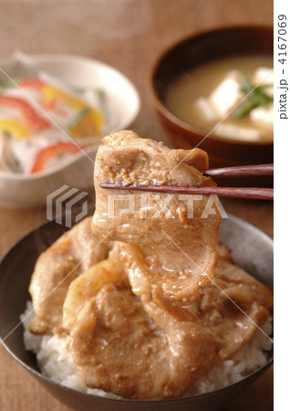 豚丼 豚丼 4167069
