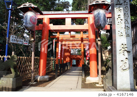 花園稲荷神社の参道 花園稲荷神社の参道 4167146