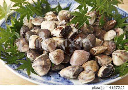 あさり 4167292