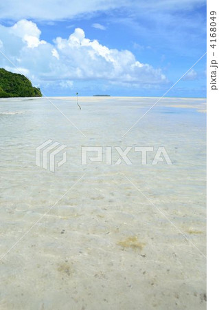 パラオ　カープ島　干潟　水面 4168049