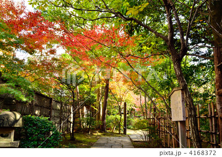 秋の楽水園 4168372